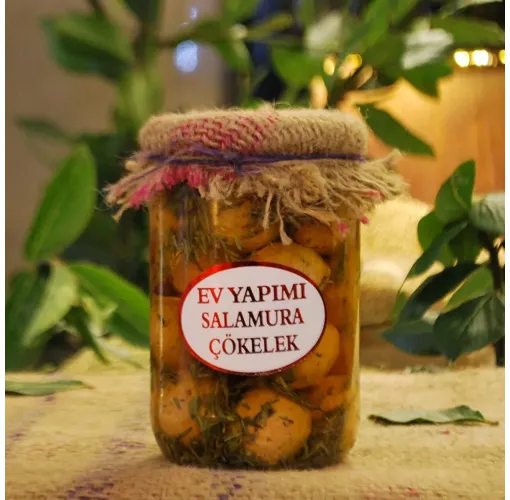 Salamura Sürk( Çökelek) Acılı 20 Adet