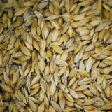 Arpa 1 Kg