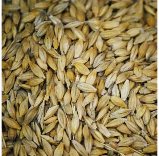 Arpa 1 Kg