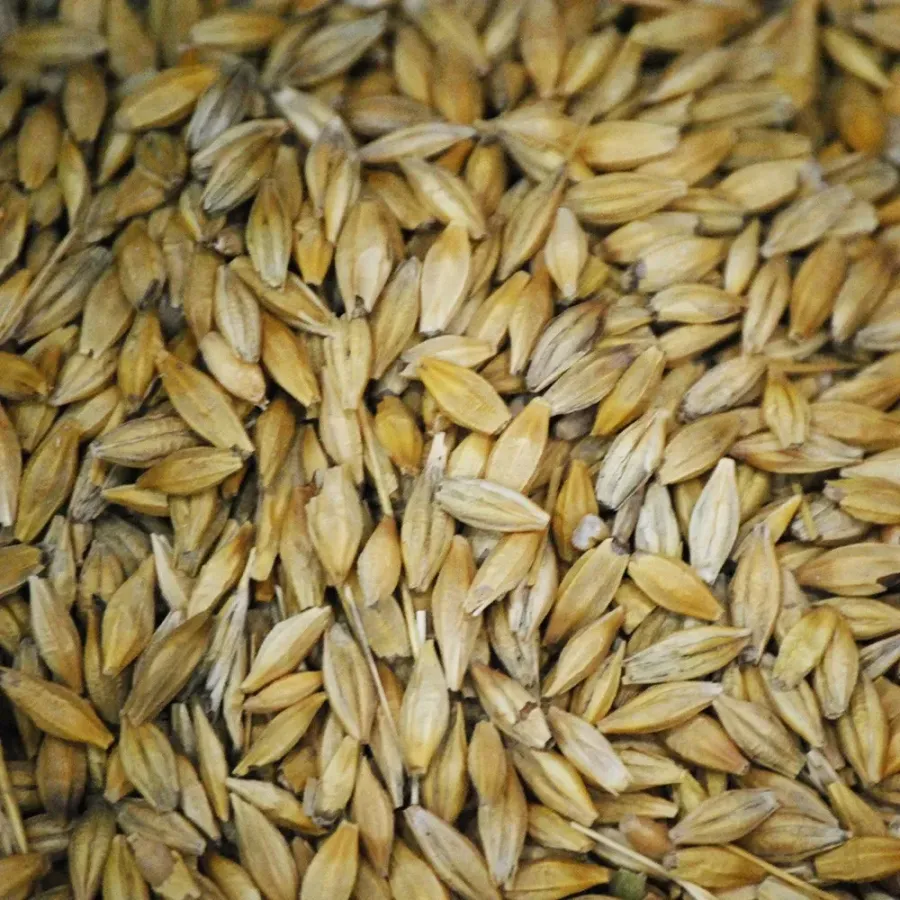 Arpa 1 Kg