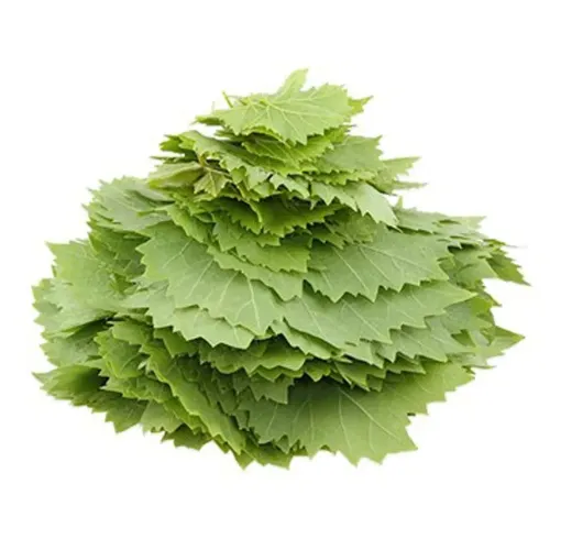 Asma (Üzüm) Yaprağı 1 Kg