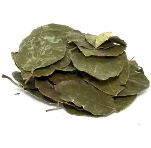  Avokado Yaprağı Çayı 100 Gr