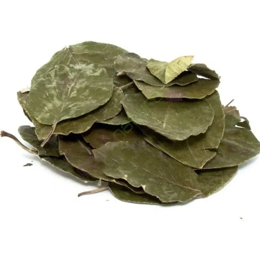  Avokado Yaprağı Çayı 100 Gr