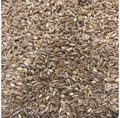 Buğday Hediklik 1 Kg