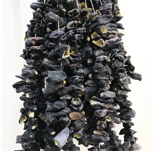 Dolmalık Kuru Patlıcan 1 Bağ Adana Mahsulü(45-50Adet)