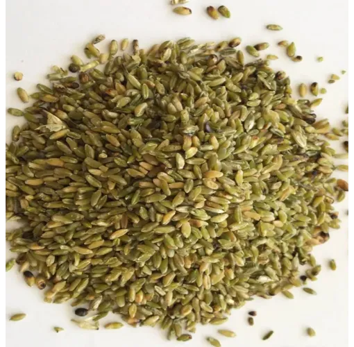 Firik Bulguru Yeni Mahsul 500 Gr