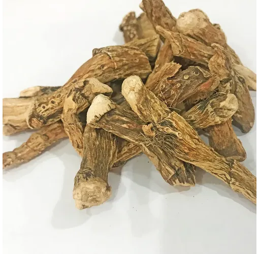 Hazanbel ( Eğir ) Kökü 100 Gr