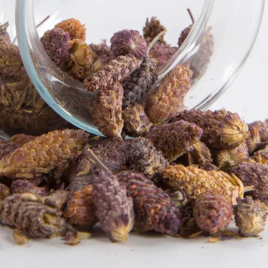 Karabaş Otu 100 Gr