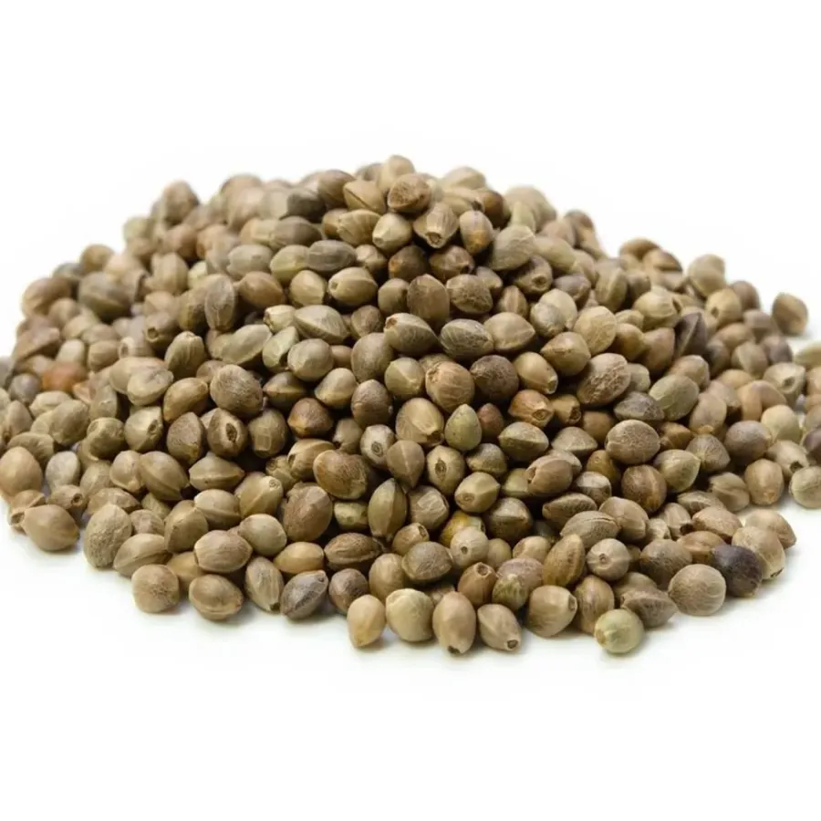 Kendir Tohumu  - Tane 1 Kg 