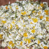 Kuru Papatya 100 Gr