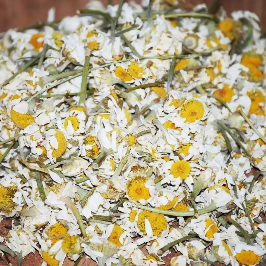 Kuru Papatya 100 Gr