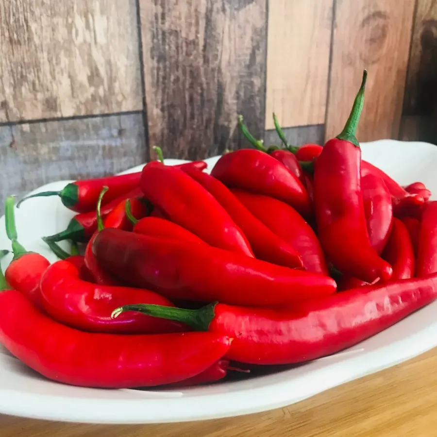 Samandağ Süs Biberi ( Taze ) 1kg 