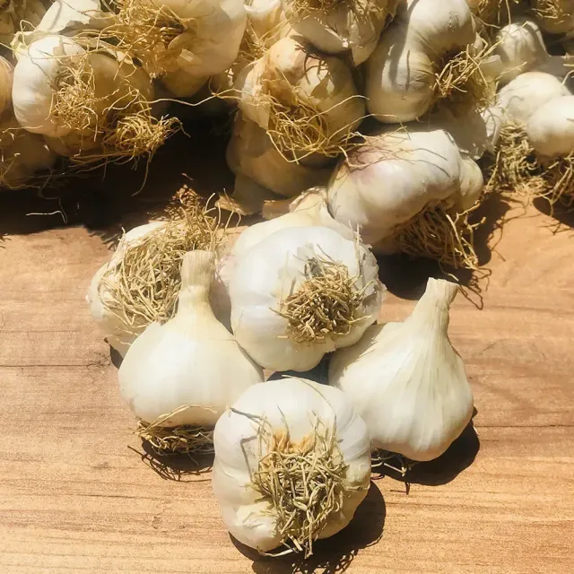 Sarımsak Hatay - Altınözü 1 Kg Susuz