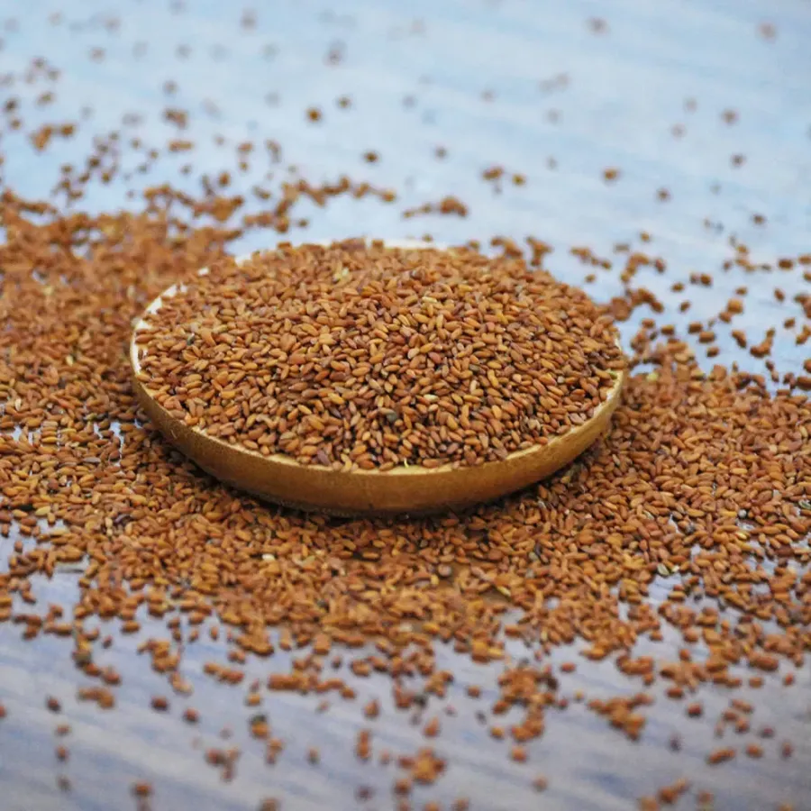 Tere Tohumu ( İnce Yaprak ) 100 Gr