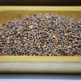 Turp Tohumu ( Yerli ) 100 Gr