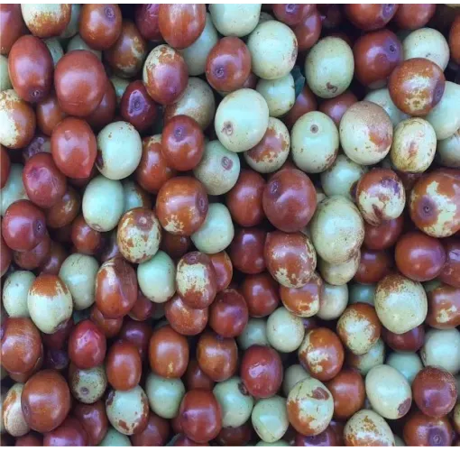Yaş Hunnap (İnnep)  1 Kg