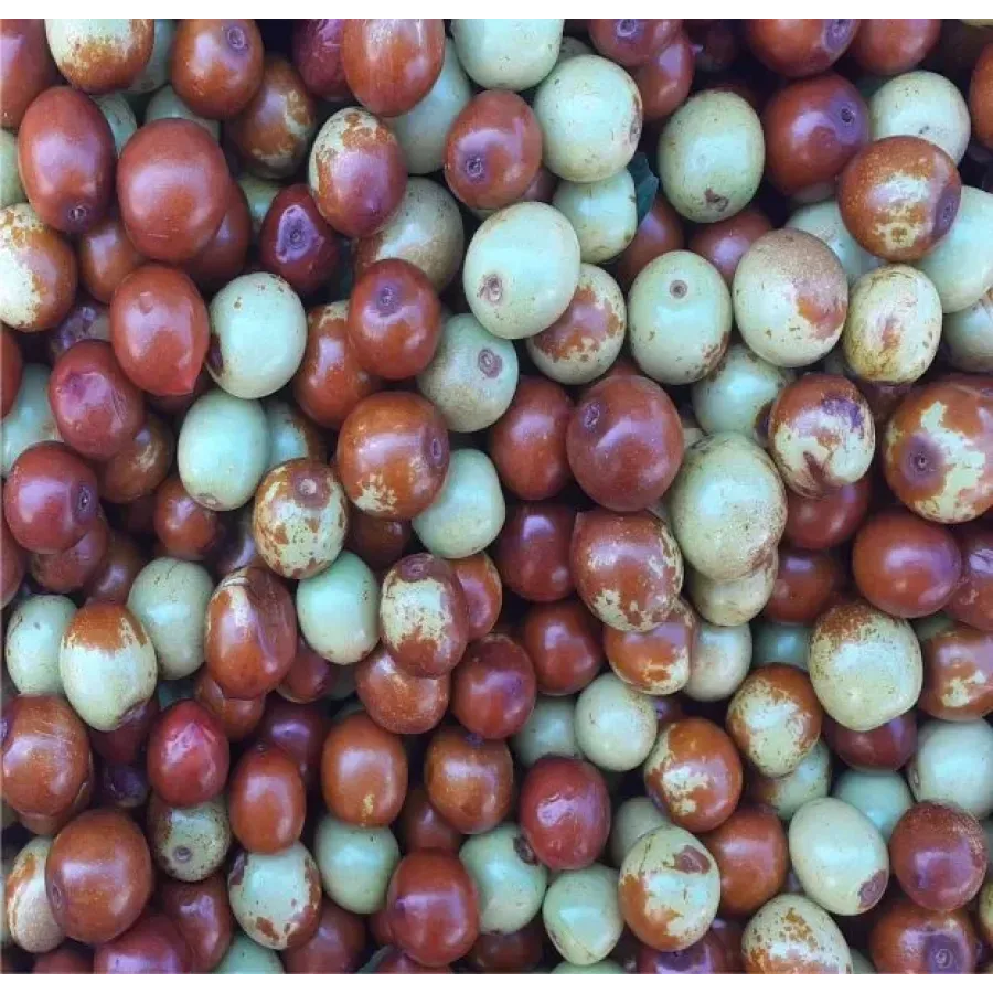 Yaş Hunnap (İnnep)  1 Kg